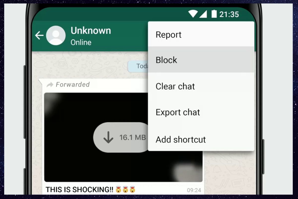 Whatsapp Feature: तुम्हाला व्हॉट्सअॅपवर कोणी ब्लॉक केलं आहे का? या मार्गांनी 5 समजून घ्या