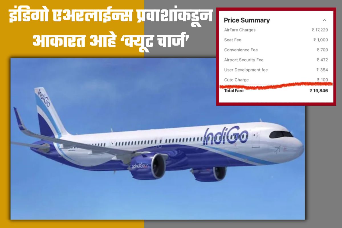 Indigo Airline प्रवाशांकडून आकारत आहे ‘क्यूट चार्ज’; काय आहे याचा अर्थ?
