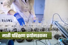 सरकारच्या मदतीनं गावात राहूनच करा हा व्यवसाय, होईल लाखोंची कमाई सरकारच्या मदतीनं गावात राहूनच करा हा व्यवसाय, होईल लाखोंची कमाई