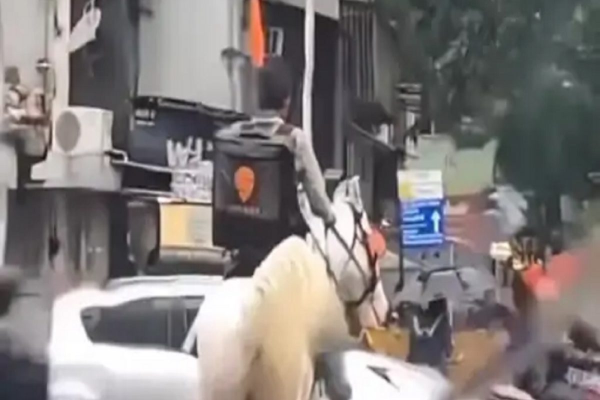 कर्तव्य महत्त्वाचं! भर पावसात फूड डिलिव्हरीसाठी घोड्यावर निघाला मुंबईतला स्विगी बॉय, पाहा VIDEO