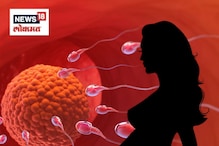 Pregnancy Tips : गर्भ राहण्यासाठी पाळीच्या कितव्या दिवशी संबंध ठेवावे?