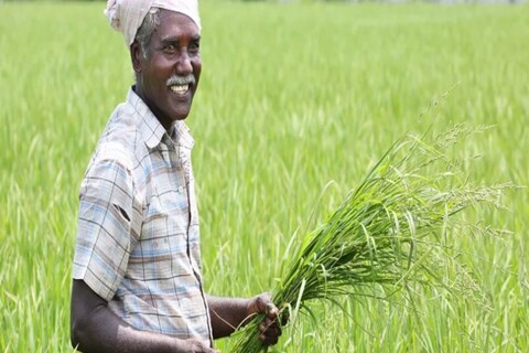 25 जुलै 2022 पर्यंत आकडेवारीनुसार राज्यातल्या 50 लाखांहून अधिक शेतकऱ्यांनी केंद्र सरकारच्या या योजनेअंतर्गत त्यांच्या पिकांचा विमा उतरवला आहे. पंतप्रधान पीक विमा योजनेअंतर्गत पीक विमा काढण्यात मराठवाड्यातल्या शेतकऱ्यांनी आघाडी घेतली आहे.
