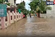 नाल्याच्या पाण्यासह घरात सापही शिरले, नागरिकांच्या त्रासात भर! पाहा VIDEO नाल्याच्या पाण्यासह घरात सापही शिरले, नागरिकांच्या त्रासात भर! पाहा VIDEO