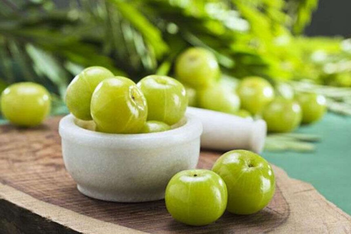 Skin Care : चेहऱ्यावर दिसतायत फाईन लाईन्स आणि सुरकुत्या? आवळ्याच्या मदतीने अशी घ्या त्वचेची काळजी