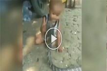 VIDEO - समोर फणा काढून आला कोब्रा, बाळाने खेळणं म्हणून हातात धरला; 30 सेकंदात...