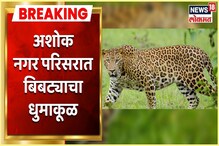 नाशिकमध्ये पुन्हा एकदा बिबट्याचा धुमाकूळ; नागरिकांमध्ये भितीचे वातावरण नाशिकमध्ये पुन्हा एकदा बिबट्याचा धुमाकूळ; नागरिकांमध्ये भितीचे वातावरण