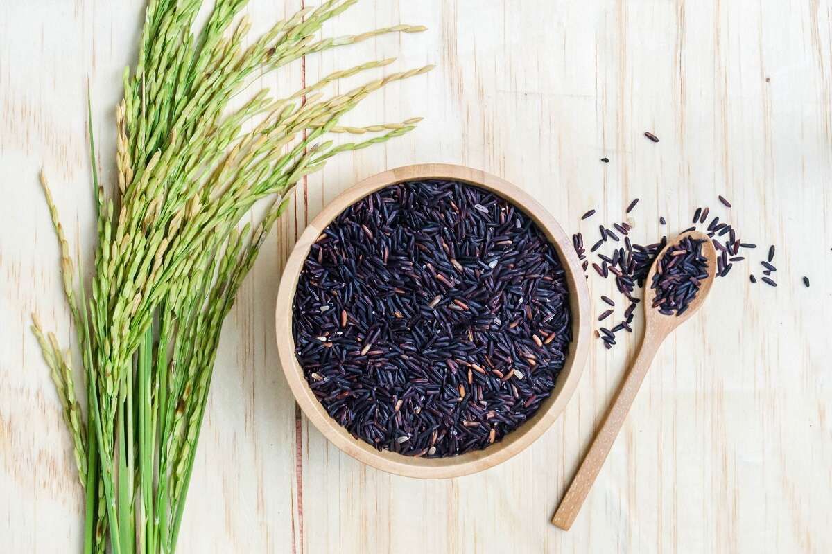 Black Rice For Cancer : कॅन्सरपासून वाचवतो हा तांदूळ; यामध्ये आहे खास घटक