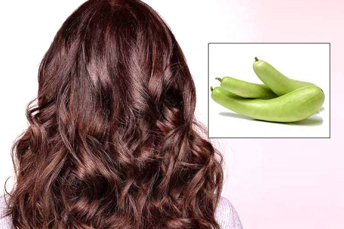 Hair Care : केस नैसर्गिक पद्धतीने काळे करायचेत? अशा पद्धतीने करा भोपळ्याचा वापर