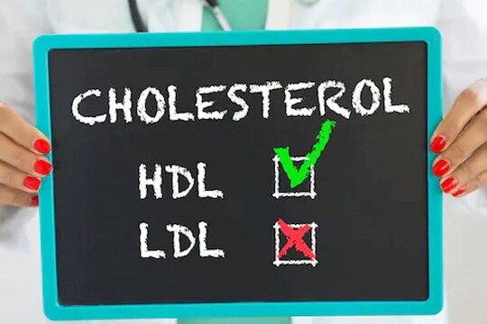 Cholesterol चांगलं की वाईट कसं ठरतं? बॅड कोलेस्टेरॉल वाढलं तर काय करायचं?