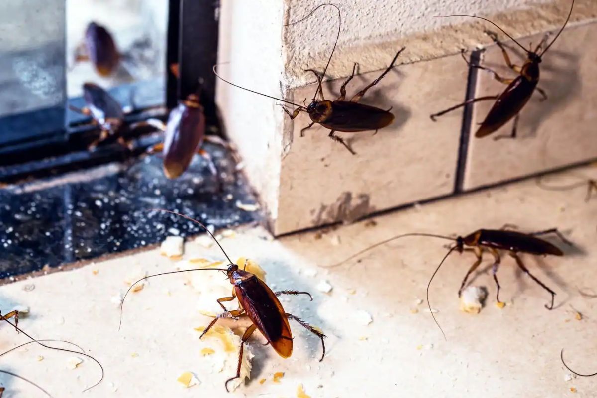 प्रतीकात्मक फोटो.