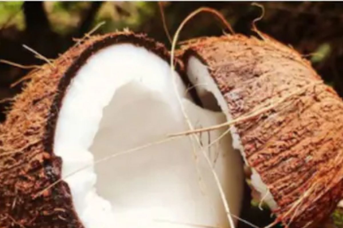 आरोग्याबरोबर जीवनातील अनेक समस्या दूर करते नारळ, मिळू शकते शनी दोषातून मुक्ती