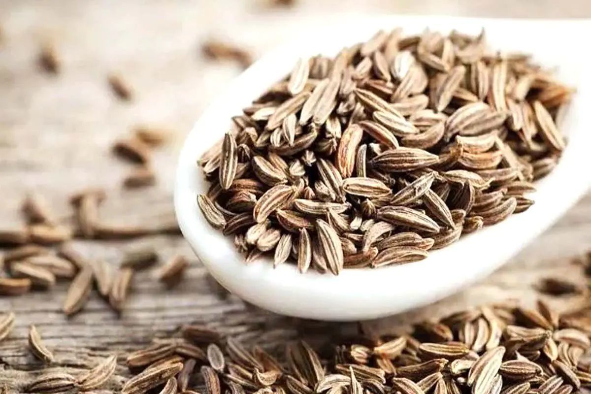 Cumin Benefits : केवळ जेवणाची चव वाढवण्यासाठीच नाही तर आरोग्यासाठीही फायदेशीर असते जिरे