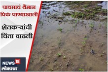 Osmanabad: दुष्काळग्रस्त भागात अतिवृष्टीचं संकट, शेतकऱ्यांची उडाली झोप! Osmanabad: दुष्काळग्रस्त भागात अतिवृष्टीचं संकट, शेतकऱ्यांची उडाली झोप!