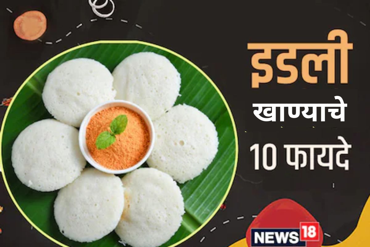 तुम्हाला इडली खाण्याचे हे 10 फायदे माहित आहेत का? पाहा काय सांगतात फिटनेस एक्सपर्ट
