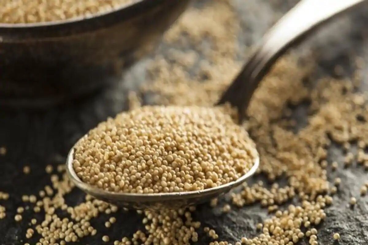 Diabetes रुग्णांसाठी अतिशय फायदेशीर आहे हा पदार्थ; ब्लड शुगर लेवल राहाते नियंत्रणात