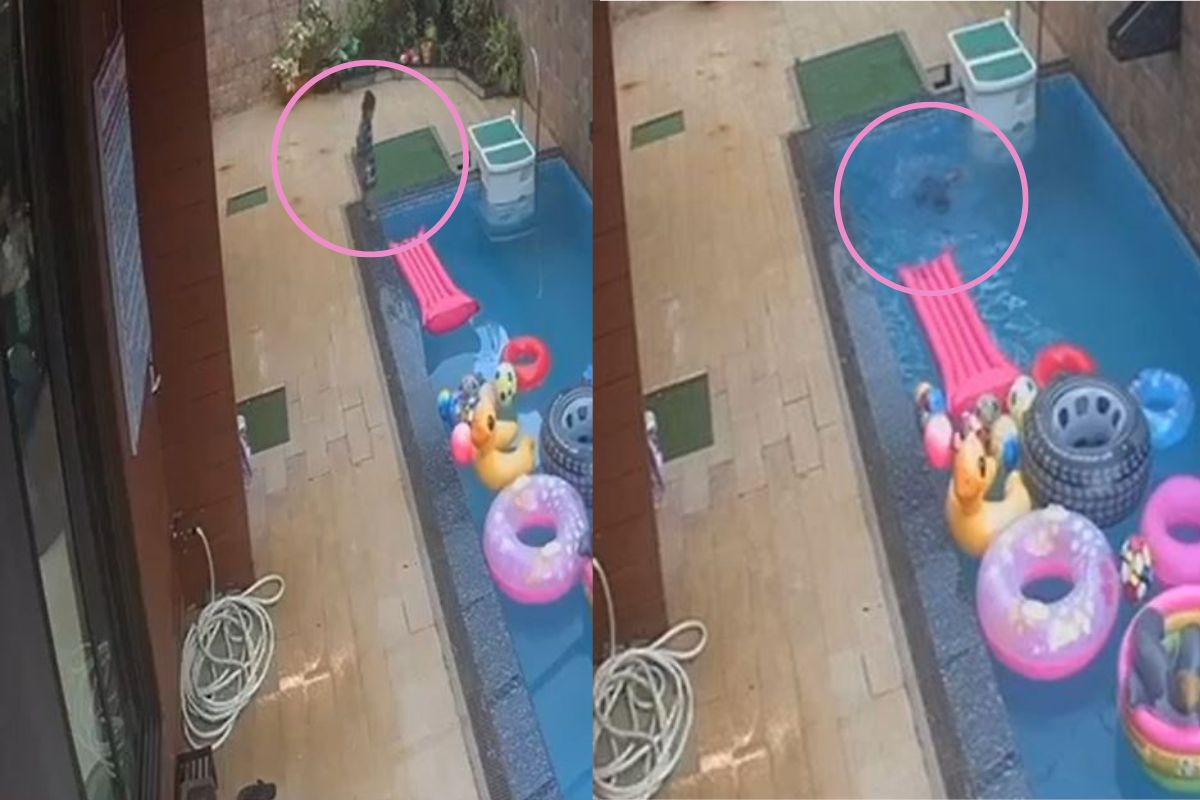 स्विमिंग पुलमध्ये पडला चिमुकला; बाहेर येण्याचा प्रयत्न करत राहिला, पण शेवटी हारला, हृदय पिळवटणारा VIDEO