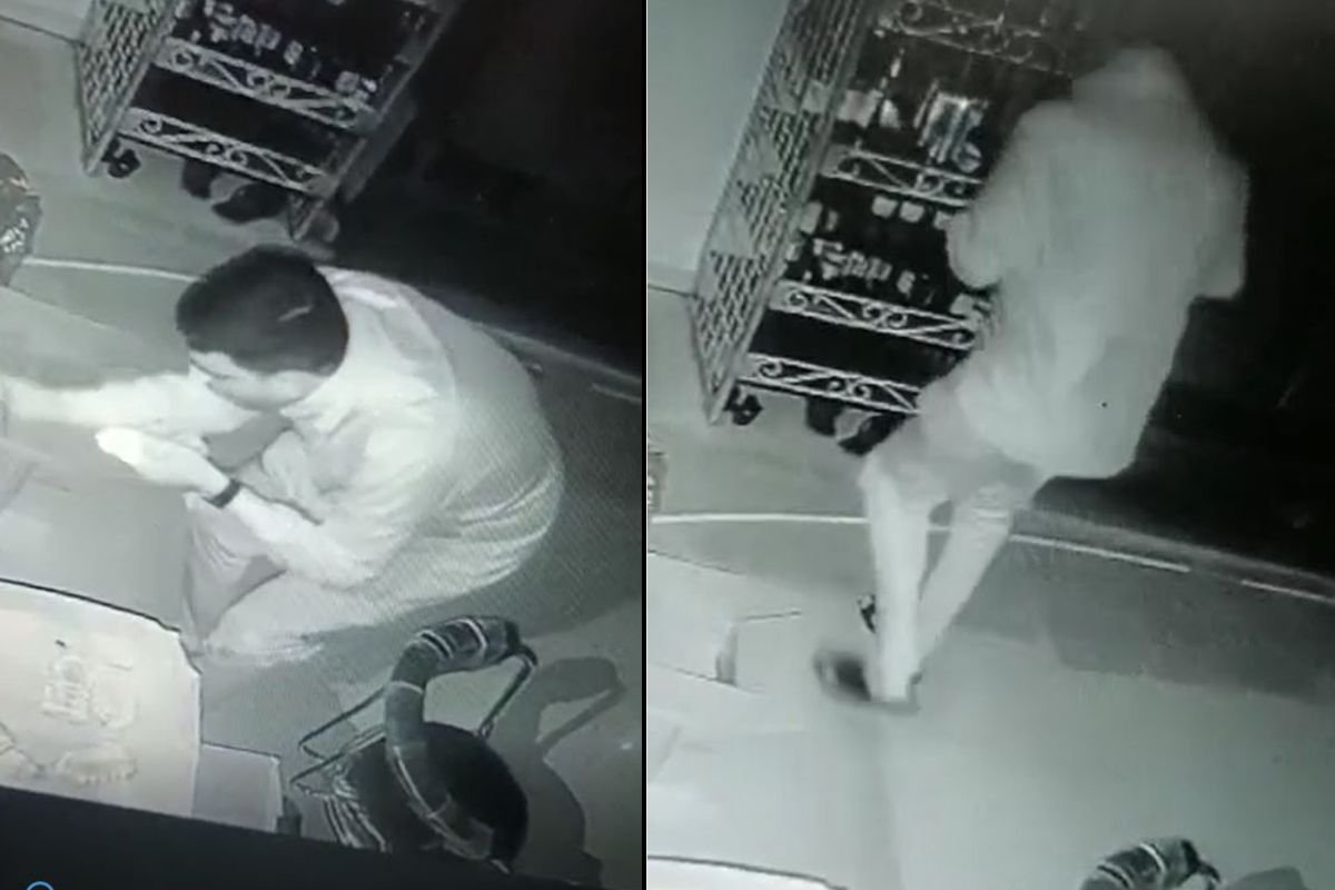 VIDEO: एका बिअर बॉटलसाठी चोरट्याने फोडलं वाईन शॉप; बुलडाण्यातील अजब चोरीची घटना CCTV मध्ये कैद