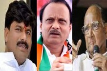 'काका-पुतण्यांना मराठा समाजाचं भलं होऊ द्यायचं नाही.'.; पडळकरांचा पवारांवर आरोप