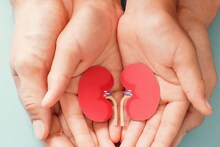 आता त्रास सहन करू नका; 'हे' आहेत किडनी स्टोनमुळे होणाऱ्या पोटदुखीवर उपाय