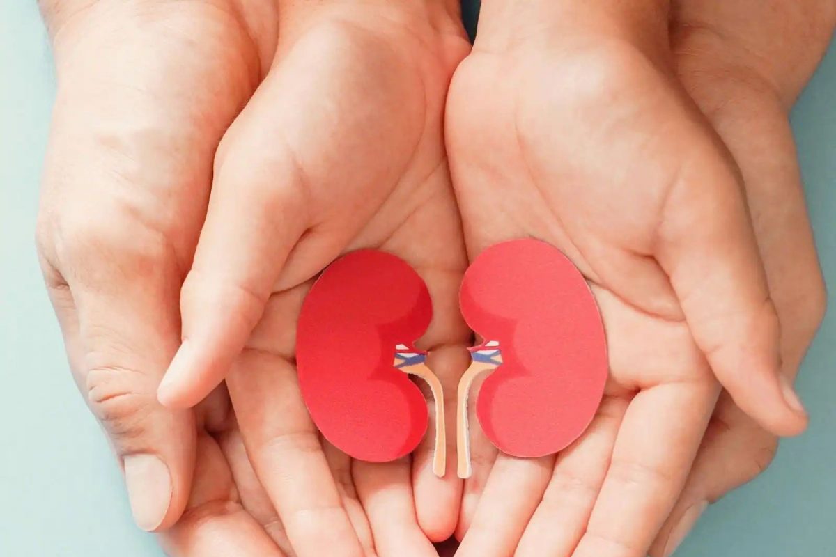 Kidney Stone Stomach Pain : आता त्रास सहन करू नका; 'हे' आहेत किडनी स्टोनमुळे होणाऱ्या पोटदुखीवर उपाय