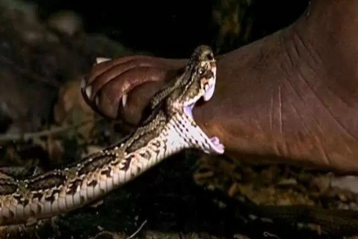 फाईल फोटो