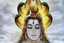 श्रावणात दररोज करा हे एक काम; महादेवाची होईल विशेष कृपा श्रावणात दररोज करा हे एक काम; महादेवाची होईल विशेष कृपा