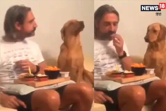 मालकाने टक लावून पाहताच श्वानाने...; VIDEO मध्येच पाहा नेमकं काय घडलं?