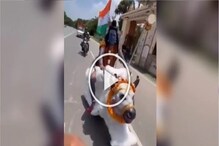 बाईकला नंदी बनवत तरुणाने घेतला महादेवाचा अवतार; VIDEO VIRAL होताच ट्रोल कारण... बाईकला नंदी बनवत तरुणाने घेतला महादेवाचा अवतार; VIDEO VIRAL होताच ट्रोल कारण...