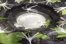 त्र्यंबकेश्वरच्या पिंडीवर पुन्हा दिसला चमत्कारिक बर्फ; तो फोटो खरा की खोटा? त्र्यंबकेश्वरच्या पिंडीवर पुन्हा दिसला चमत्कारिक बर्फ; तो फोटो खरा की खोटा?