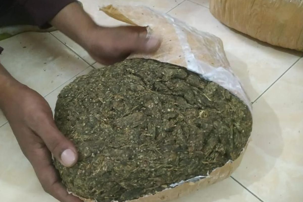 ठाण्यात NCB ची मोठी कारवाई; तब्बल 190 किलो गांजा आणि दारू जप्त; 4 तस्करांच्या आवळल्या मुसक्या