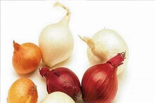 Onion benefits : लाल की पांढरा, आरोग्यासाठी कोणता कांदा चांगला? Onion benefits : लाल की पांढरा, आरोग्यासाठी कोणता कांदा चांगला?