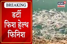 मासे खाणारे असाल तर सावधान! हा VIDEO पाहा, तलावात मांस टाकून केलं जातय fish bree