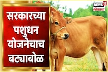 VIDEO : पशुधन योजनेचे वाजले बारा, गायी- म्हशीऐवजी पैशांचेच वाटप VIDEO : पशुधन योजनेचे वाजले बारा, गायी- म्हशीऐवजी पैशांचेच वाटप