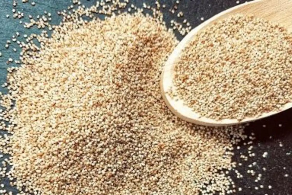 Weight Loss Tips : वजन कमी करण्यासाठी अशा पद्धतीने खा खसखस, होईल जास्त फायदा