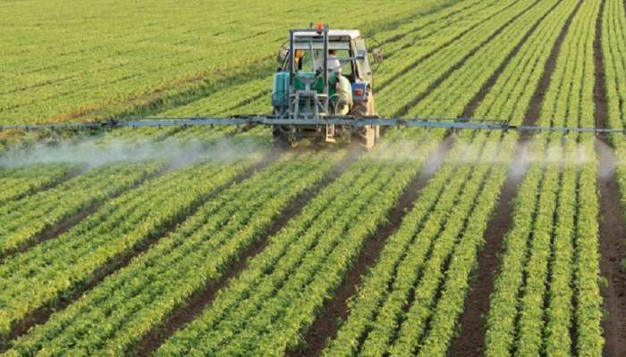 Pradhan Mantri Crop Insurance Scheme : शेतकऱ्यांना दिलासा, प्रधानमंत्री पीक विमा योजनेतून ही महत्वाची काढली अट