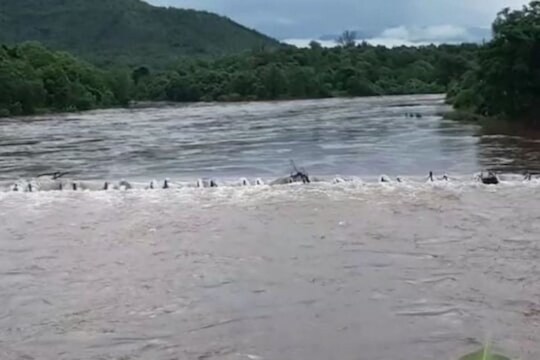 रत्नागिरी : कोकणात पावसाचा हाहाकार; जगबुडी नदीने धोक्याची पातळी ओलांडली, स्थानिकांना हाय अलर्ट जारी