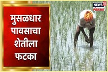 VIDEO : वाशिममध्ये मुसळधार पावसाचा शेतीला फटका