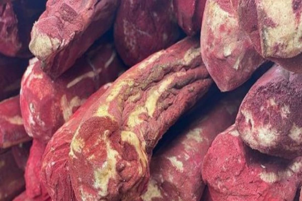 Red Sandalwood Benefits : मधुमेहींसाठी खूप फायदेशीर असते लाल चंदन, त्वचेच्या 'या' समस्याही होतील दूर