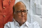 'शरद पवारांनी स्वप्न पाहू नये,''त्या' वक्तव्यावर शिंदे गटाकडून चोख उत्तर
