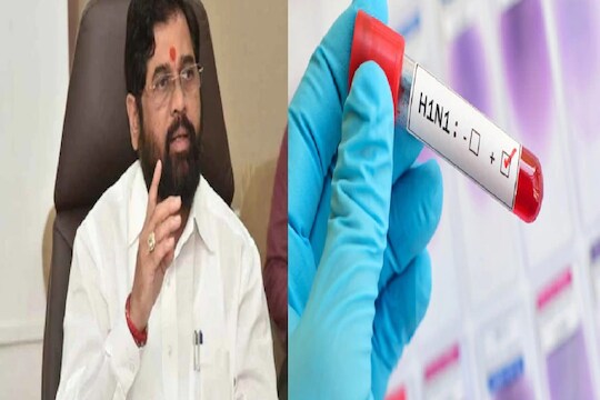 
राज्यात कोरोनानंतर आता स्वाइन फ्लूने डोकं वर काढलं आहे. मुख्यमंत्री एकनाथ शिंदे यांच्या जिल्ह्यालाही स्वाइन फ्लूने विळखा घातला आहे.