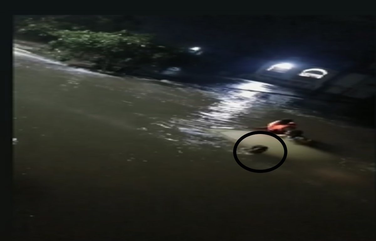 Thane Car Sank : ठाण्यात पाण्याचा आणि रस्त्याचा अंदाज न आल्याने वाहन चालकासह कार बुडाल्याचा थरारक video समोर