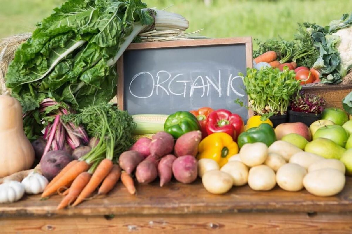 Organic Food Benefits : आरोग्यासाठी खूप फायदेशीर असते ऑर्गॅनिक फूड? कशी करावी ओळख?