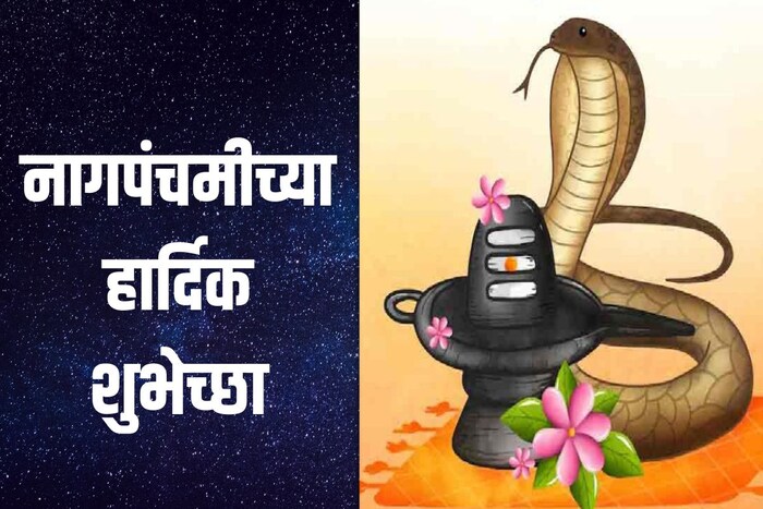 काही धार्मिक ग्रंथांमध्ये नागांचं वर्णन शिवप्रभूंचा अलंकार आणि विष्णूची शय्या म्हणून आढळतो. त्यामुळे हिंदू धर्मात नागाला पूजनीय स्थान आहे. 