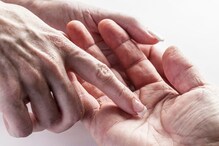Palmistry: हातावर अशी सूर्यरेषा असेल तर सोन्यासारखं चमकतं नशीब; तुमची रेषा बघा Palmistry: हातावर अशी सूर्यरेषा असेल तर सोन्यासारखं चमकतं नशीब; तुमची रेषा बघा
