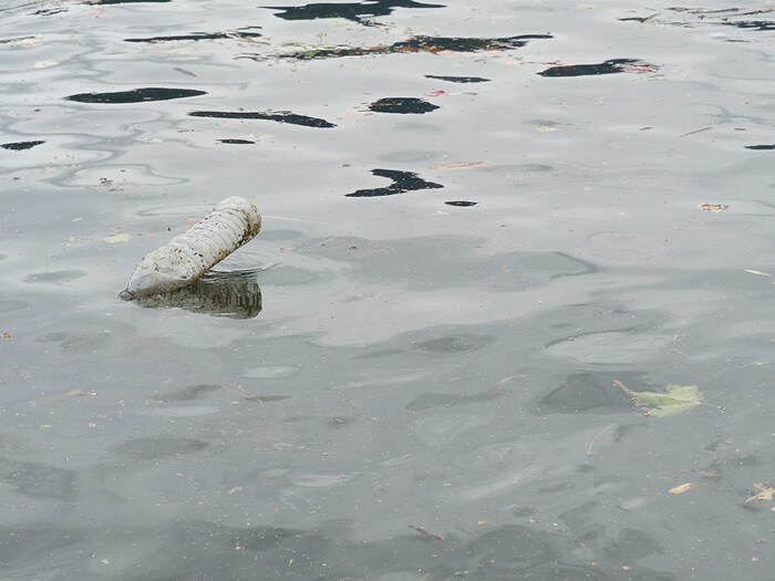 याचा अर्थ असा नाही की प्लास्टिक प्रदूषणापासून (Plastic pollution) आपल्याला मुक्ती मिळेल. कारण प्लास्टिकमधील काही संयुगे पर्यावरणावर विषारी प्रभाव टाकतात. या अभ्यासाचे परिणाम नुकतेच नेचर कम्युनिकेशन्समध्ये प्रकाशित झाले आहेत. जिवाणू प्रथम प्लास्टिक खातात कारण त्यांना तोडणे सोपे जाते. त्यानंतरच ते कठोर अन्नाकडे वळतात जे नैसर्गिक कार्बन सामग्री आहे (प्रतिकात्मक फोटो: शटरस्टॉक)