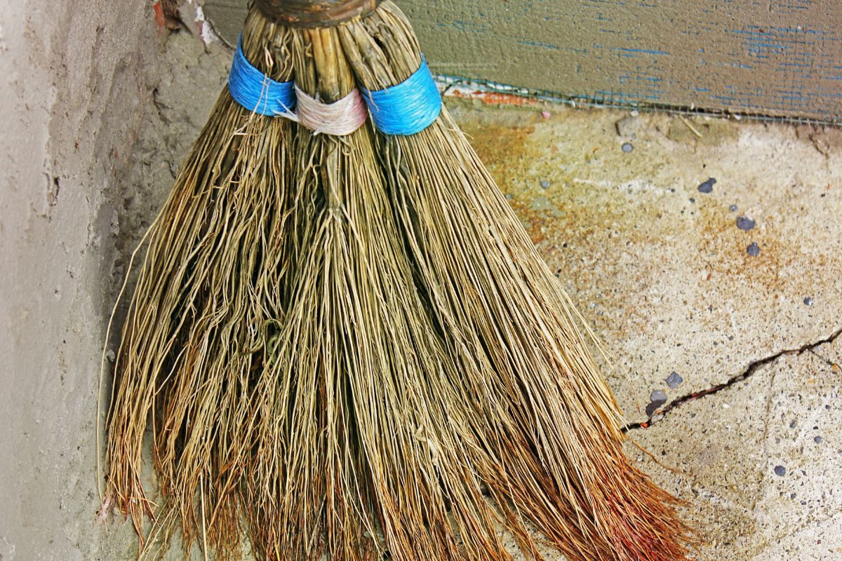 घरातील जुना झाडू फेकताना या चुका टाळा; योग्य दिवस आणि नियम जाणून घ्या