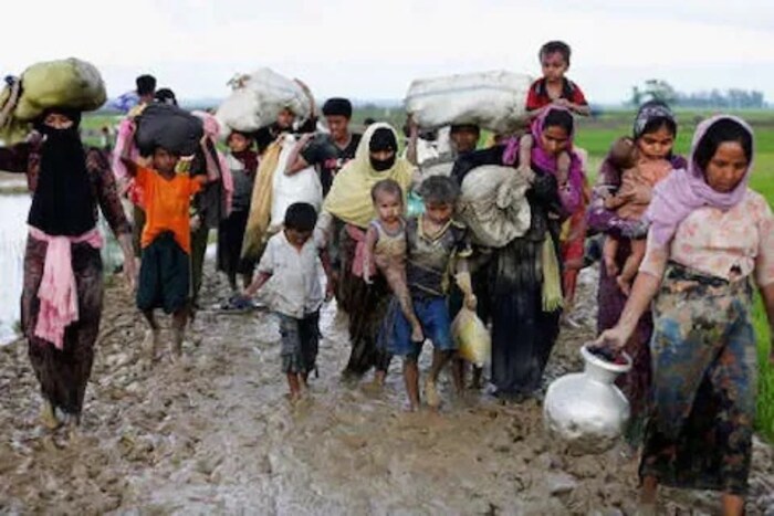 भारतातील अनेक रोहिंग्यांकडे UNHCR ने जारी केलेली ओळखपत्रे आहेत, जी त्यांना निर्वासित म्हणून ओळख देतात.
