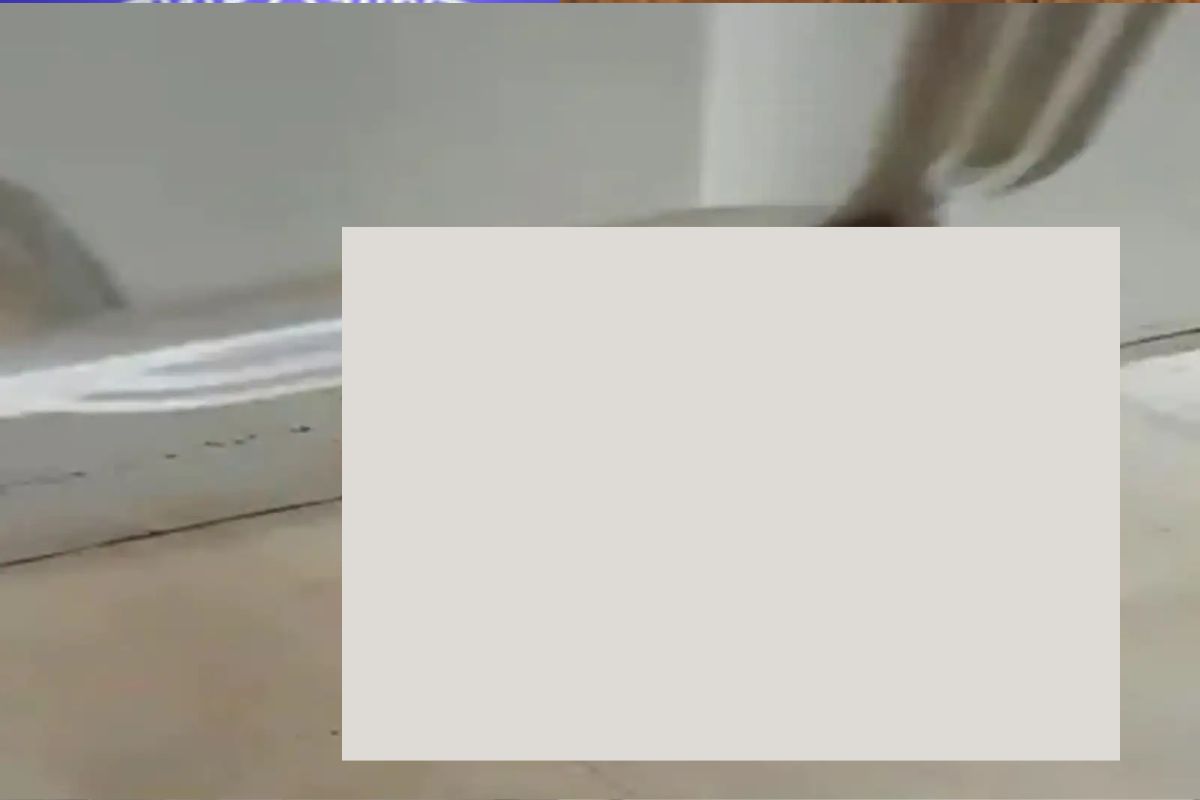 घरमालकाने भिंतीतून वाहणाऱ्या रक्ताचा व्हिडीओ सोशल मीडियावर शेअर केला आणि एकच खळबळ उडाली.