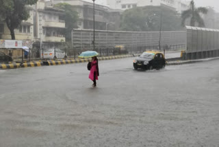 राज्यात पावसाने कोकण, घाटमाथ्यासह विदर्भात थैमान घातले आहे आहे. मागच्या 24 तासांता कोकणातील रत्नागिरी जिल्ह्याच्या लांजा येथे सर्वाधिक 330 मिलिमीटर पावसाची नोंद झाली. घाटमाथ्यावर अनेक ठिकाणी 200 मिलिमीटपेक्षा जास्त पाऊस पडल्याने नद्यांना पूर परिस्थिती निर्माण झाली आहे. (सर्व फोटो सोशल मीडिया) 