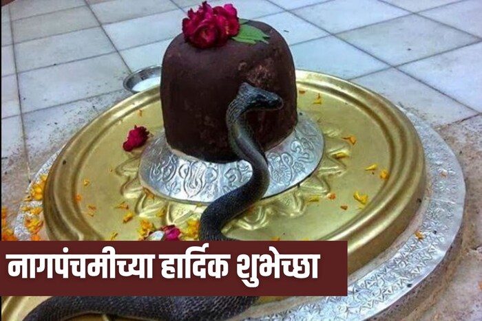 हिंदू धर्मातील अनेक महत्त्वाच्या सणांपैकी एक म्हणजे नागपंचमी.